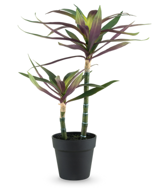 En kunstig plante Yucca gigantea 53 cm med to lange, slanke grønne stængler toppet med spidse grønne og lilla blade i en sort potte, mod hvid baggrund.