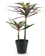En kunstig plante Yucca gigantea 53 cm med to lange, slanke grønne stængler toppet med spidse grønne og lilla blade i en sort potte, mod hvid baggrund.