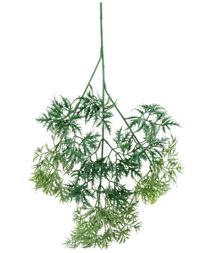 Kunsttak Ming Aralia sprayen 72 cm har grønne, fjerlette kunstige blade med fine, nålelignende kanter i forskellige grønne nuancer, hængende på hovedet på en hvid baggrund.