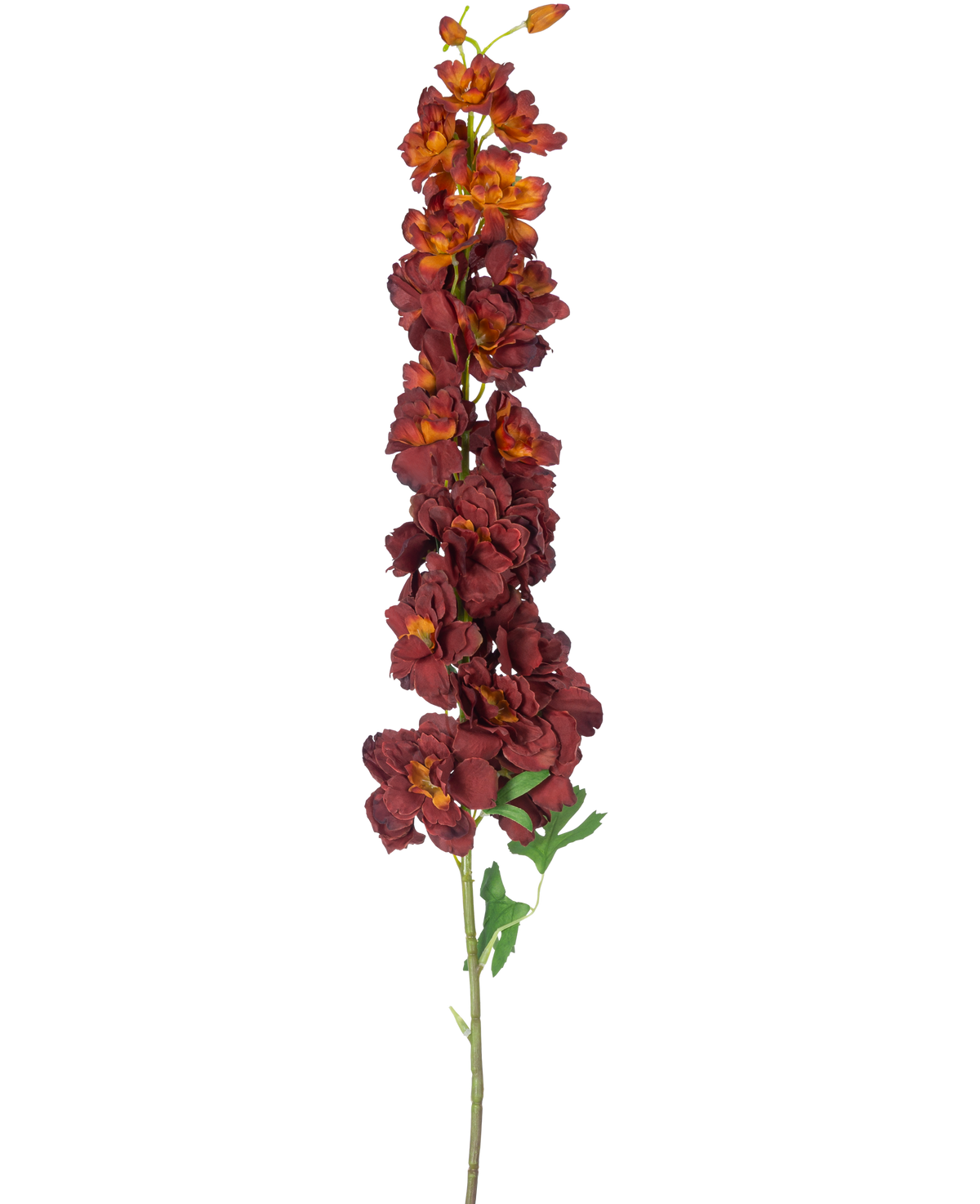 Den kunstige blomst Delphinium 105 cm bordeaux har en lang, enkelt stilk med flere mørkerøde og orange kunstige blomster og grønne blade, isoleret på en hvid baggrund.