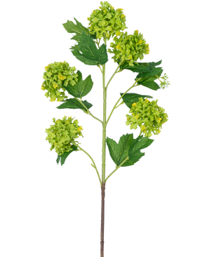 The Artificial Branch Snowball 77 cm green har en enkelt stilk med flere bundter af runde, grøn-gule blomster og mørkegrønne, takkede blade, alt sammen mod en hvid baggrund.