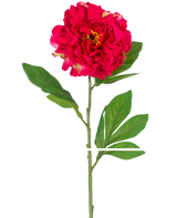 Artificial Flower Peony 77 cm rød er en enkelt kunstig pæon med en stor, levende rød blomst og grønne blade på en lang stilk, afbildet mod en hvid baggrund.