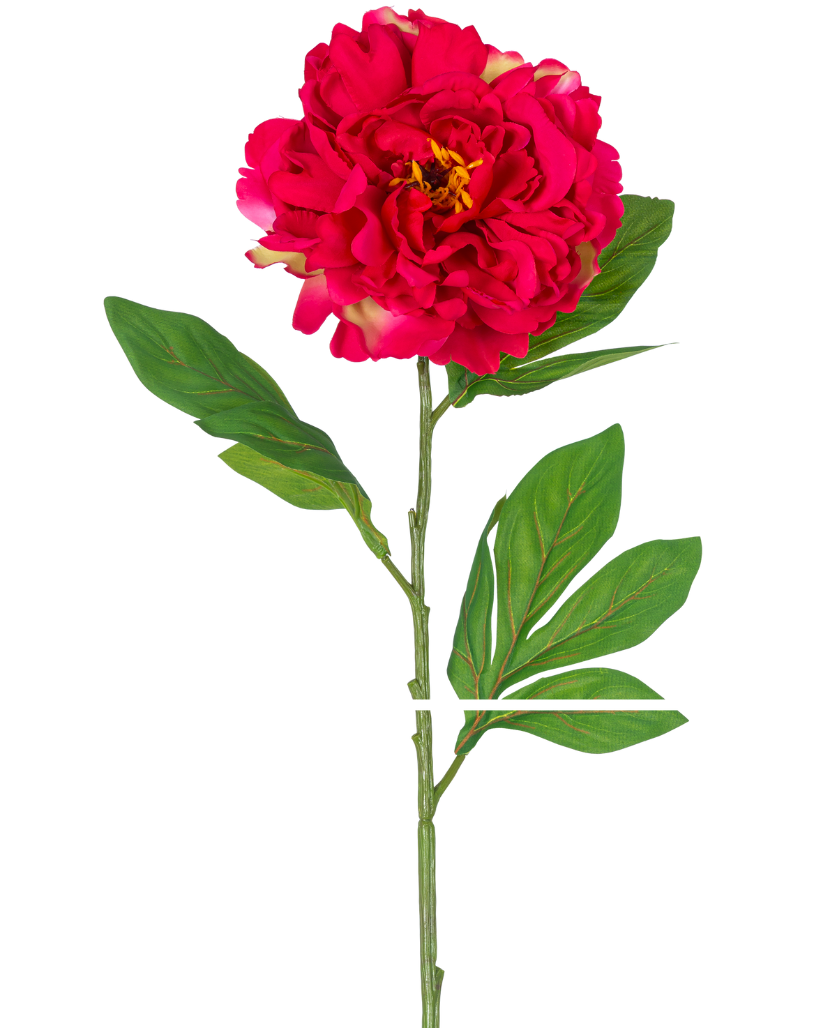 Artificial Flower Peony 77 cm rød er en enkelt kunstig pæon med en stor, levende rød blomst og grønne blade på en lang stilk, afbildet mod en hvid baggrund.