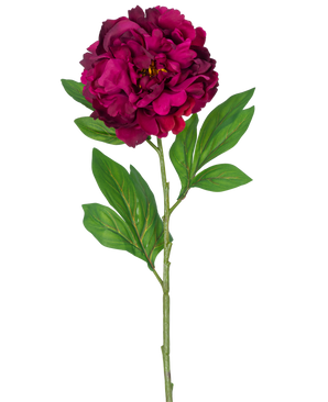 En enkelt kunstig blomsterpæon 77 cm kunstig auberginestamme, der viser en dyb magenta pæon med nogle grønne blade, mod en almindelig hvid baggrund.