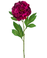 En enkelt kunstig blomsterpæon 77 cm kunstig auberginestamme, der viser en dyb magenta pæon med nogle grønne blade, mod en almindelig hvid baggrund.