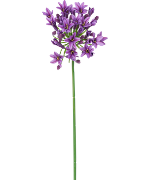 En enkelt lang grøn stilk med lille, stjerneformet lilla kunstig blomst Agapanthus 77 cm lilla blomster, der blomstrer i toppen, isoleret på en hvid baggrund.