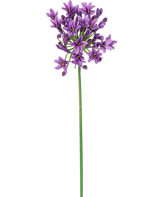 En enkelt lang grøn stilk med lille, stjerneformet lilla kunstig blomst Agapanthus 77 cm lilla blomster, der blomstrer i toppen, isoleret på en hvid baggrund.