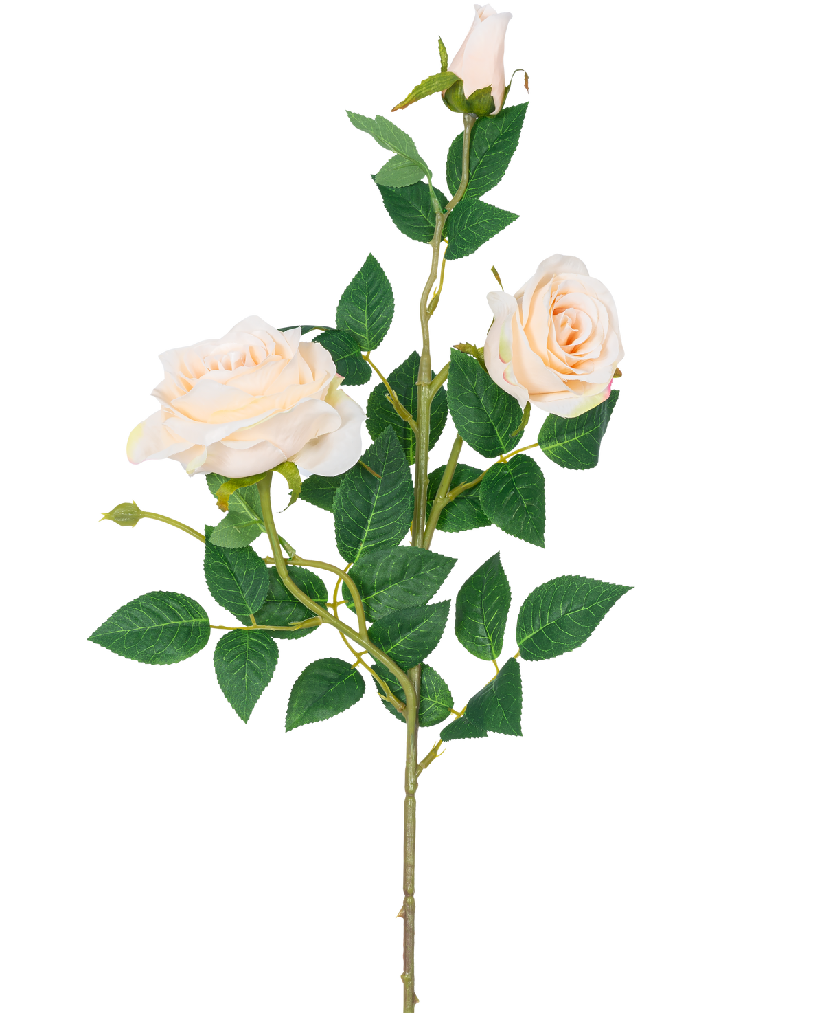 Artificial Rose Neo deluxe 75 cm beige har en enkelt stilk med to lys beige blomstrende roser, en rosenknop og flere grønne blade, mod en almindelig hvid baggrund.