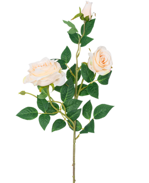 Artificial Rose Neo deluxe 75 cm beige har en enkelt stilk med to lys beige blomstrende roser, en rosenknop og flere grønne blade, mod en almindelig hvid baggrund.
