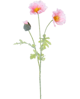 Artificial Flower Poppy 73 cm lys pink har en enkelt stilk med to åbne lys pink valmueblomster, en lukket knop, flæser i kronbladene, gule hjerter og grønne blade på hvid baggrund.