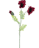 Den kunstige blomstervalmue 73 cm bordeaux har en enkelt stilk med to åbne mørkerøde valmueblomster, en knop og flere grønne takkede blade mod en hvid baggrund.