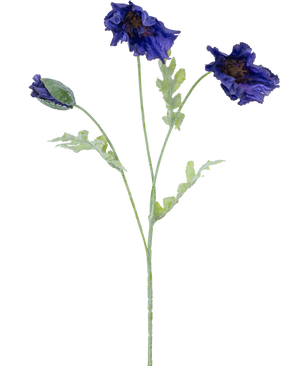 En botanisk illustration af den kunstige blomstervalmue 73 cm mørkeblå viser tre lysegrønne stængler - to med flæser af mørkeblå blomster og en med lukket knop mod hvid baggrund.