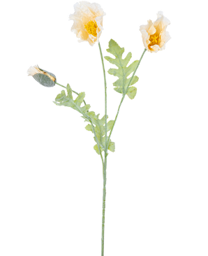 En delikat botanisk illustration af kunstig blomstervalmue 73 cm creme, med to åbne gule blomster og en lukket knop på grønne stængler med takkede blade, mod en hvid baggrund.