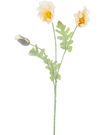 En delikat botanisk illustration af kunstig blomstervalmue 73 cm creme, med to åbne gule blomster og en lukket knop på grønne stængler med takkede blade, mod en hvid baggrund.