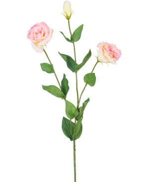 Artificial Eustoma Real Touch Light Pink 72cm har en enkelt grøn stilk med to blomstrende lyserøde blomster og en lukket knop, omgivet af grønne blade, mod en almindelig hvid baggrund.