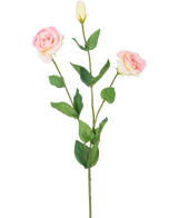 Artificial Eustoma Real Touch Light Pink 72cm har en enkelt grøn stilk med to blomstrende lyserøde blomster og en lukket knop, omgivet af grønne blade, mod en almindelig hvid baggrund.