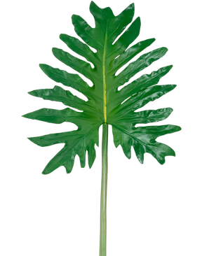 En kunstig bladfilodendron på 68 cm, med et stort grønt tropisk blad med dybe, uregelmæssige flige og en lang central stilk, er vist mod en almindelig hvid baggrund.
