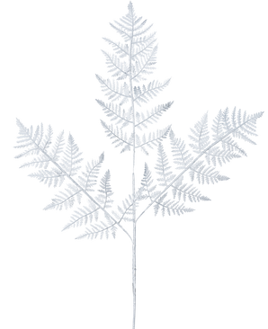 Den kunstige grenbregne 78 cm sølv har et delikat, lysegråt bregneblad med tre hovedgrene af fint detaljerede blade mod en almindelig hvid baggrund.