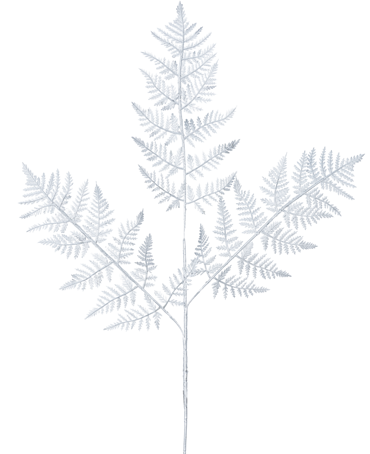 Den kunstige grenbregne 78 cm sølv har et delikat, lysegråt bregneblad med tre hovedgrene af fint detaljerede blade mod en almindelig hvid baggrund.