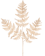 Artificial Branch Fern 78 cm guld har en delikat, tørret bregnegren med tynde, indviklede lysebrune blade i et detaljeret blondemønster, elegant vist mod en almindelig hvid baggrund.