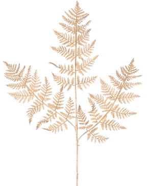 Artificial Branch Fern 78 cm guld har en delikat, tørret bregnegren med tynde, indviklede lysebrune blade i et detaljeret blondemønster, elegant vist mod en almindelig hvid baggrund.