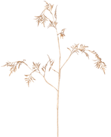 Artificial Branch Fern Mini 75 cm guld har sarte, lysebrune stængler med tynde, fjeragtige blade, der forgrener sig mod en almindelig hvid baggrund.