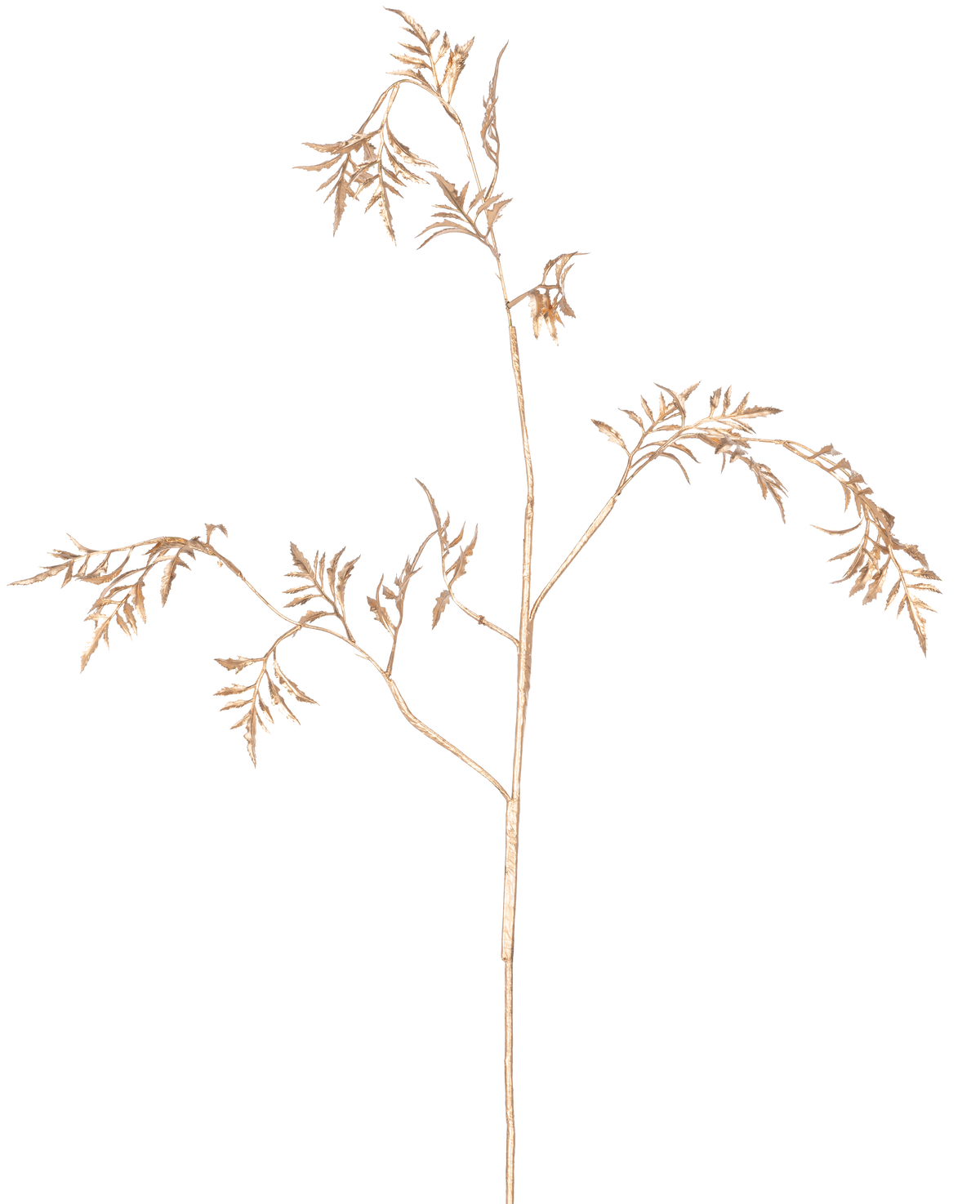 Artificial Branch Fern Mini 75 cm guld har sarte, lysebrune stængler med tynde, fjeragtige blade, der forgrener sig mod en almindelig hvid baggrund.