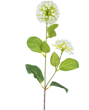 The Artificial Flower Snowball/Viburnum (70 cm) har to bundter af små hvide blomster og flere grønne ovale blade på en stilk, mod en hvid baggrund.