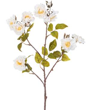 Den kunstige grenrose 72 cm hvid har en enkelt brun stilk med flere grene, grønne blade og flere store hvide blomster med gule centre, isoleret på en hvid baggrund.