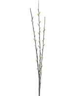 Den kunstige blomster Salix pil 70 cm har tre slanke brune grene med små grønne knopper og lysegrå, luftige rakler, arrangeret langs stænglerne mod en almindelig hvid baggrund.