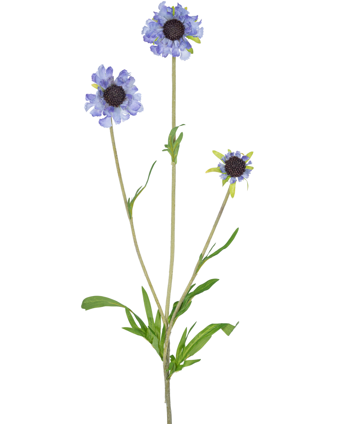Den kunstige blomst Scabiosa 63 cm blå har en enkelt grøn stilk med tre grene, hver kronet med en lys lilla-blå, tusindfrydlignende blomst og mørke, aflange grønne blade i midten, alt sammen mod en almindelig hvid baggrund.
