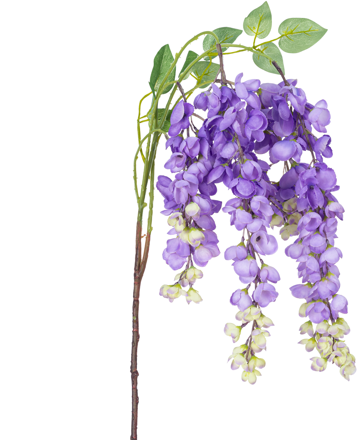 En kunstig blomst Wisteria 115 cm lilla med lilla blåregn blomster og grønne blade mod en hvid baggrund.