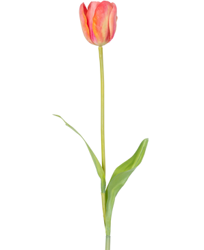 En enkelt kunstig blomst fransk tulipan 63 cm orange med en lang grøn stilk og to grønne blade, isoleret på en hvid baggrund.