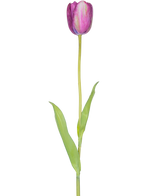 En kunstig blomst fransk tulipan 60 cm lilla, en enkelt lilla tulipan med grønne blade og en lang stilk, isoleret på en hvid baggrund.