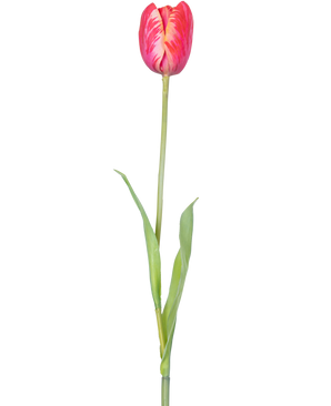 En enkelt kunstig blomst fransk tulipan 60 cm rød med levende røde kronblade og grønne blade på en stilk, mod en hvid baggrund.