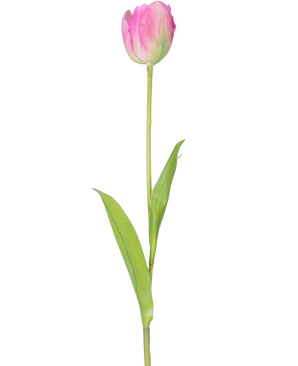 En enkelt kunstig blomst fransk tulipan 63 cm pink med en lang grøn stilk og to grønne blade, isoleret på en hvid baggrund.
