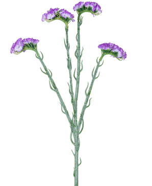 Artificial Branch Statice 64 cm lilla har en enkelt grøn stilk med fem grene, hver dækket med klaser af små, lilla blomster med flæser, mod en hvid baggrund.