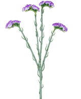 Artificial Branch Statice 64 cm lilla har en enkelt grøn stilk med fem grene, hver dækket med klaser af små, lilla blomster med flæser, mod en hvid baggrund.