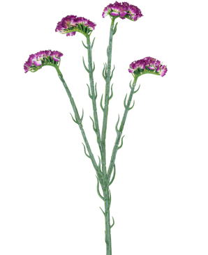 Artificial Branch Statice 64 cm mørk lilla har tre slanke grønne stængler med flere grene, hver dækket med et antal små, frilly mørke lilla blomster, alle mod en hvid baggrund.