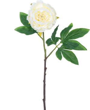 Kunstig blomst Pæon 61 cm hvid: en enkelt hvid pæon med lagdelte kronblade, grønne blade og en lang brun stilk, isoleret på hvid baggrund.