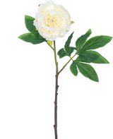 Kunstig blomst Pæon 61 cm hvid: en enkelt hvid pæon med lagdelte kronblade, grønne blade og en lang brun stilk, isoleret på hvid baggrund.