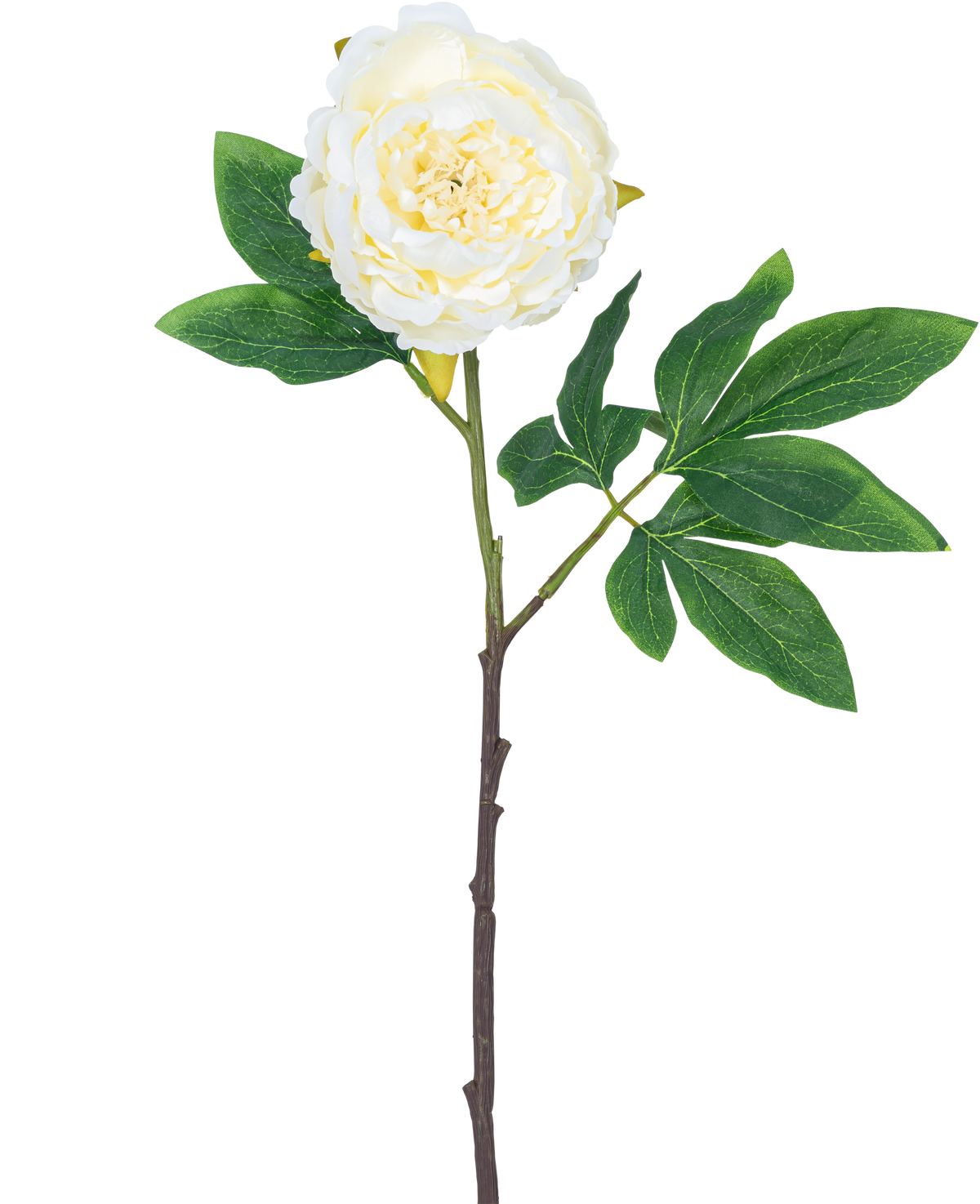Kunstig blomst Pæon 61 cm hvid: en enkelt hvid pæon med lagdelte kronblade, grønne blade og en lang brun stilk, isoleret på hvid baggrund.
