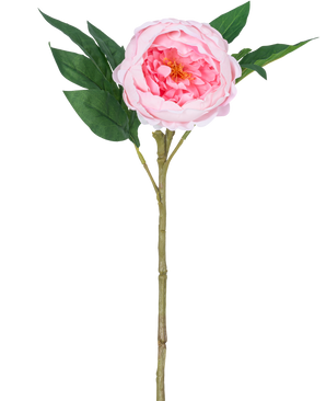 The Artificial Peony Real Touch Pink 58cm er en kunstig pink pæon med lagdelte kronblade, et gult hjerte, grønne blade og en lang brun stilk, afbildet mod en almindelig hvid baggrund.