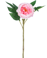 The Artificial Peony Real Touch Pink 58cm er en kunstig pink pæon med lagdelte kronblade, et gult hjerte, grønne blade og en lang brun stilk, afbildet mod en almindelig hvid baggrund.