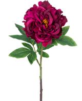 Artificial Flower Peony 61 cm lilla er en enkelt kunstig pæon med lagdelte mørkelilla kronblade, et gult hjerte, grønne blade og en lang stilk, afbildet mod en almindelig hvid baggrund.