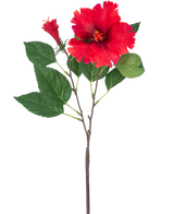 Den kunstige blomst Hibiscus 63 cm rød har en enkelt stilk med levende røde hibiscus blomster og grønne blade mod en almindelig hvid baggrund.