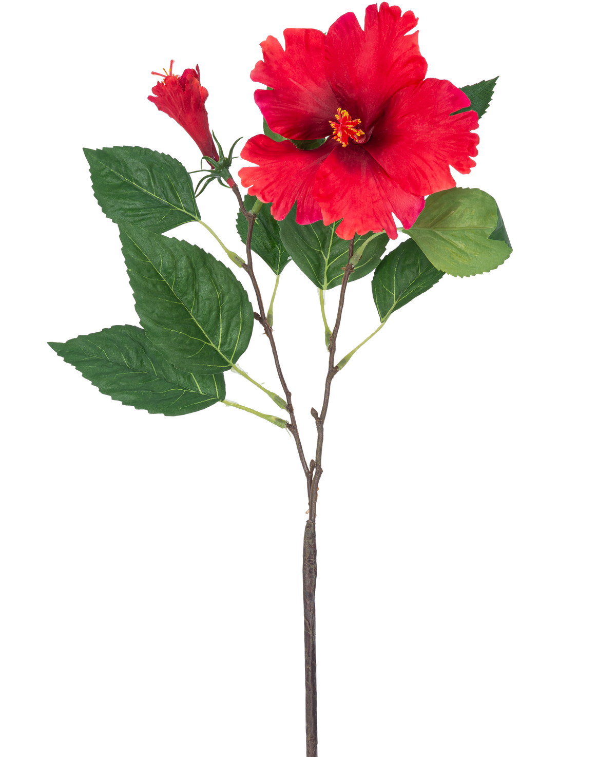 Den kunstige blomst Hibiscus 63 cm rød har en enkelt stilk med levende røde hibiscus blomster og grønne blade mod en almindelig hvid baggrund.