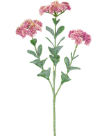 Den kunstige gren Sedum 56 cm lys pink har en enkelt grøn stilk med flere grene, hver dekoreret med bundter af små, lys pink blomster med afrundede kronblade, mod en hvid baggrund.