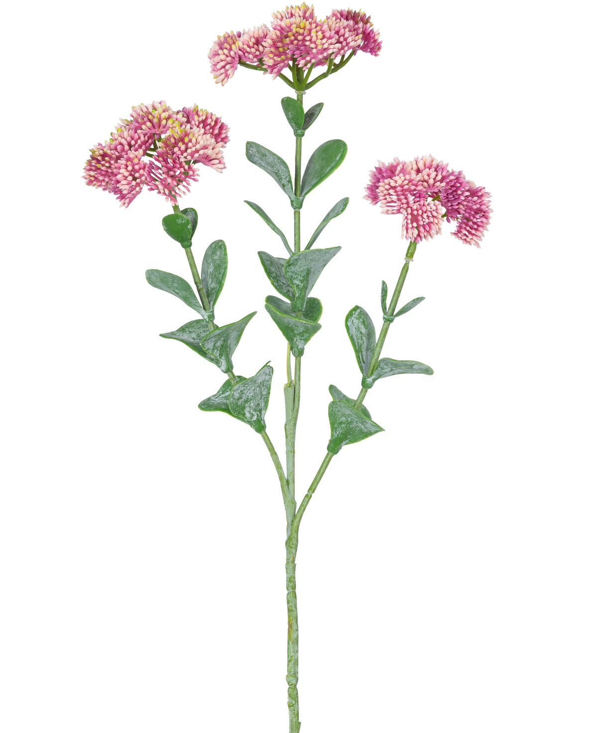 Den kunstige gren Sedum 56 cm lys pink har en enkelt grøn stilk med flere grene, hver dekoreret med bundter af små, lys pink blomster med afrundede kronblade, mod en hvid baggrund.