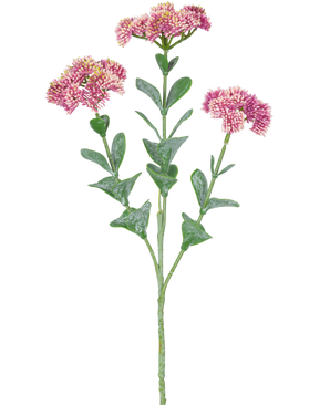 Den kunstige gren Sedum 56 cm lys pink har en enkelt grøn stilk med flere grene, hver dekoreret med bundter af små, lys pink blomster med afrundede kronblade, mod en hvid baggrund.